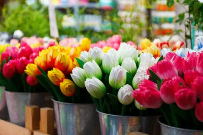 На что следует обратить внимание при покупке свежих цветов