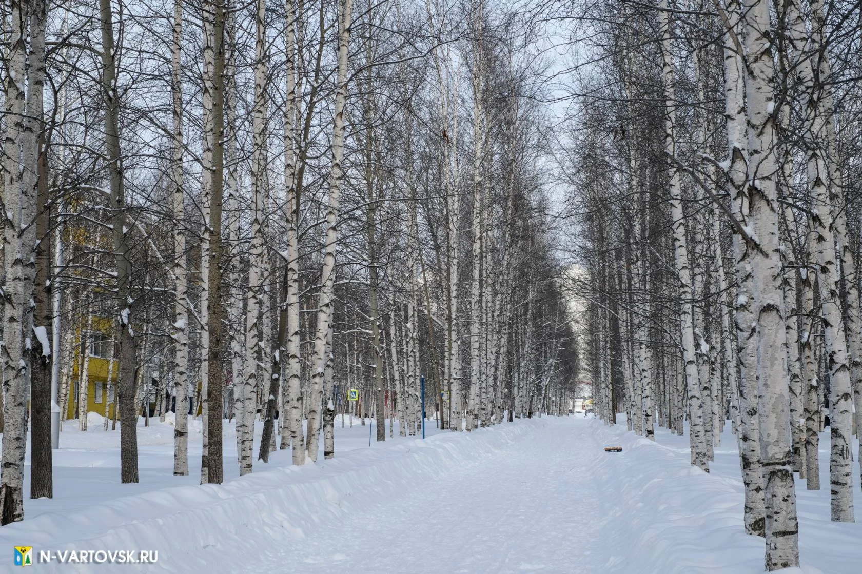 Безопасный город: Будьте в курсе