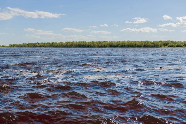 ВНИМАНИЕ: УРОВЕНЬ ВОДЫ В РЕКЕ ОБЬ 