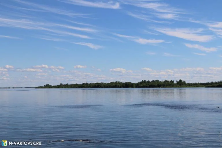 ВНИМАНИЕ: УРОВЕНЬ ВОДЫ В РЕКЕ ОБЬ 