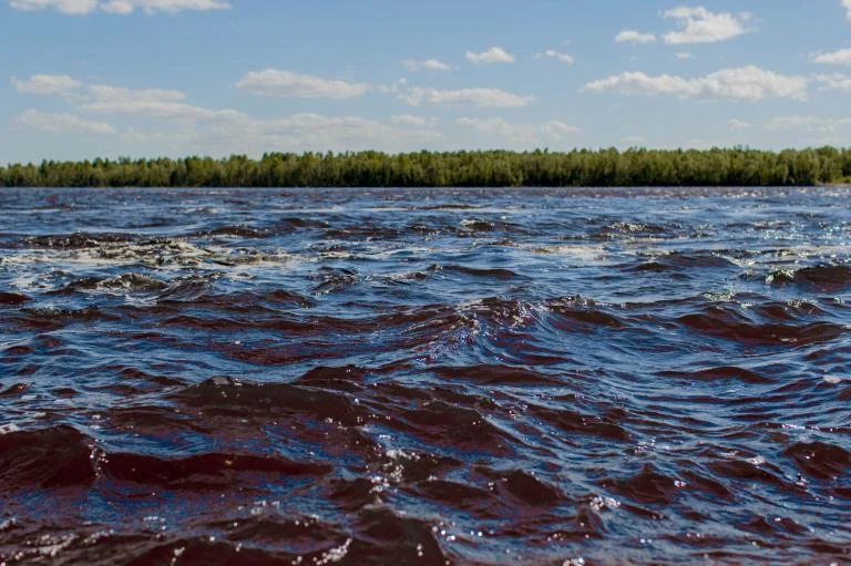 ВНИМАНИЕ: УРОВЕНЬ ВОДЫ В РЕКЕ ОБЬ