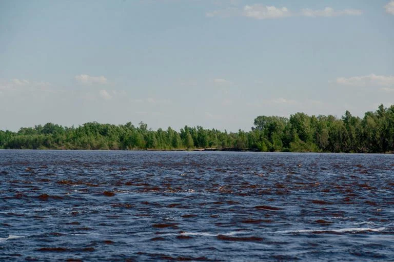 ВНИМАНИЕ: УРОВЕНЬ ВОДЫ В РЕКЕ ОБЬ