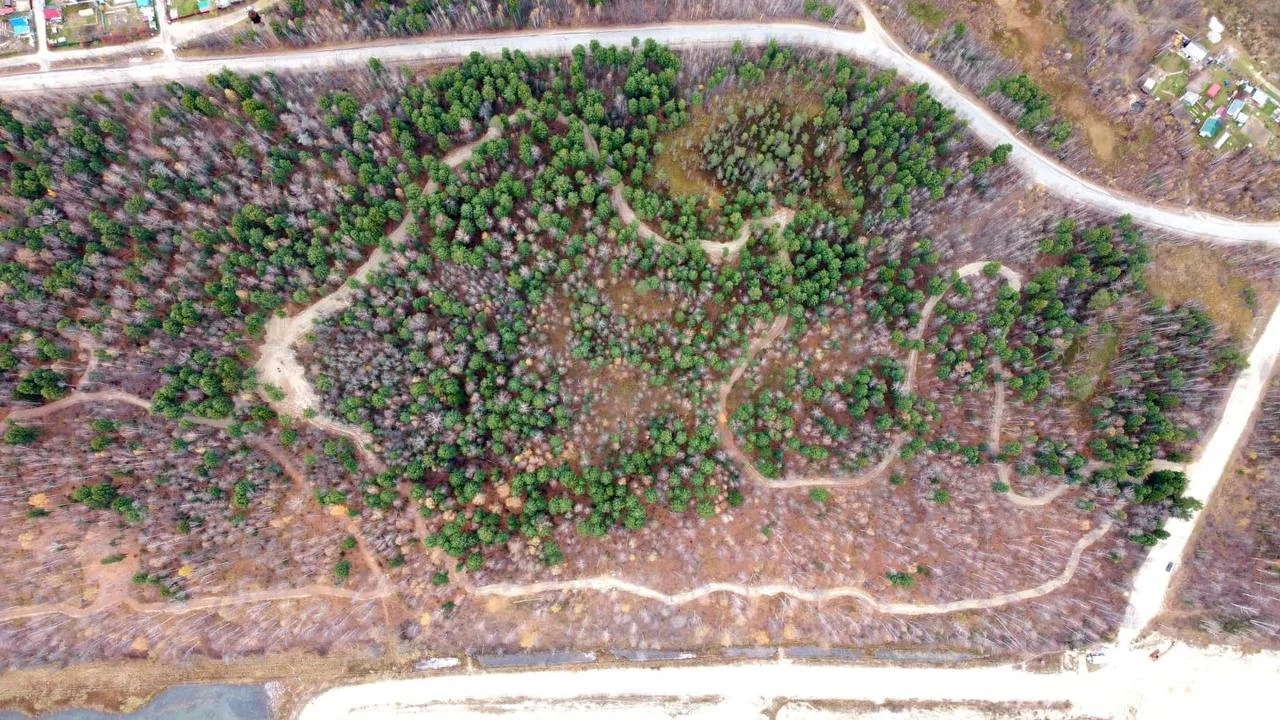 Безопасный город: Ограничение пребывания граждан в городских лесах