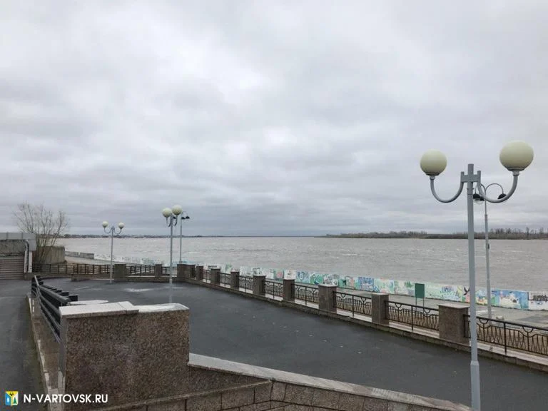Безопасный город: Уровень воды в реке Обь изменился