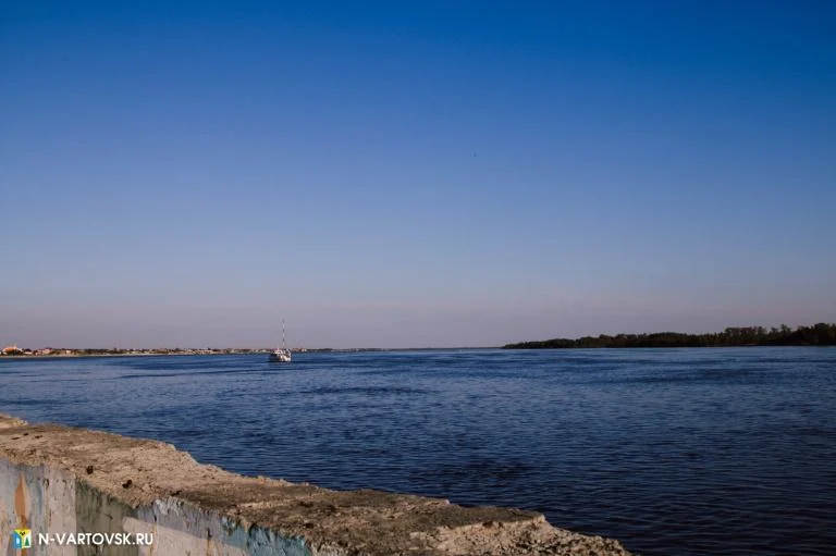Безопасный город: Уровень воды в реке Оби на 29 мая