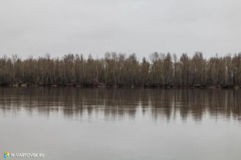 Уровень воды в реке Оби на 7 мая