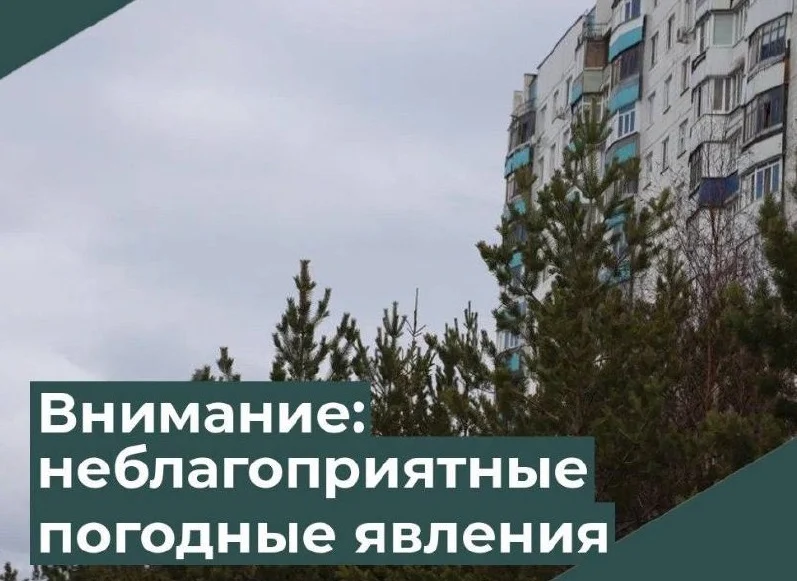 Безопасный город: Усилится ветер