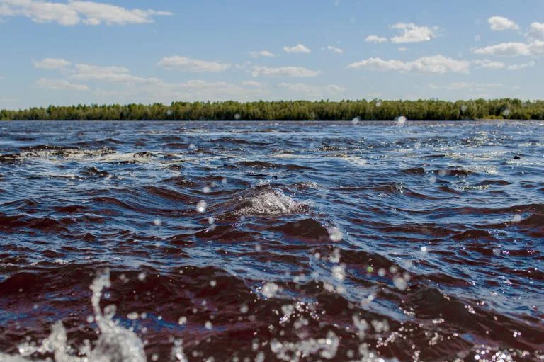 Уровень воды в реке Обь