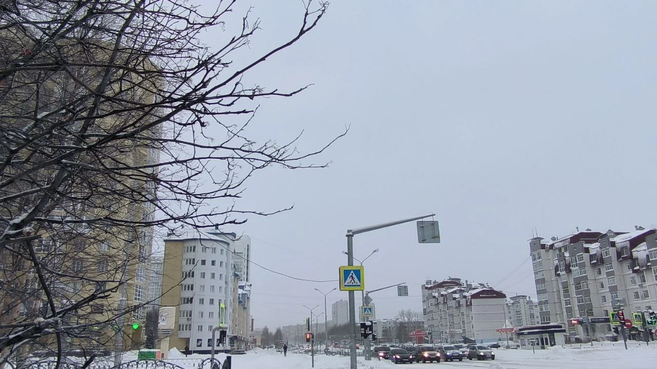 Будьте в курсе: Уполномоченный по правам человека в Югре проведет личный прием граждан в Нижневартовске