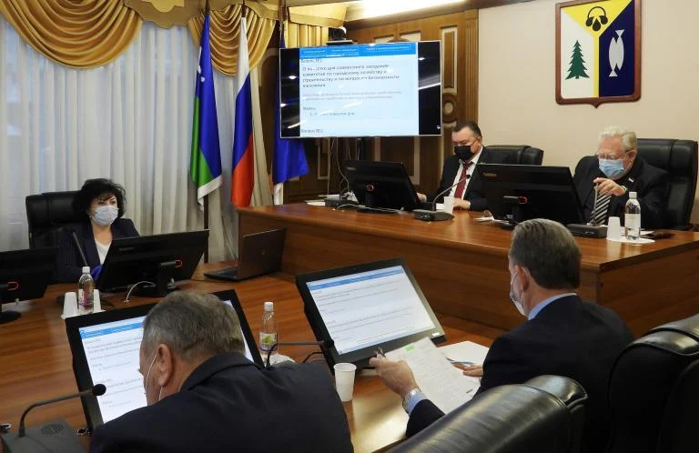 Депутаты подвели итоги исполнения протокольных поручений