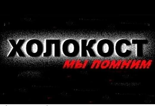 Думские вести: