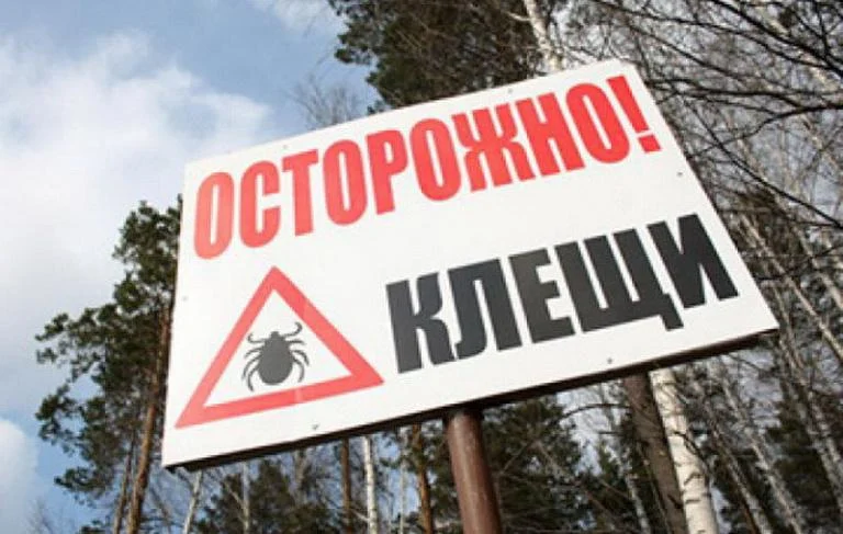 Из жизни города: В Нижневартовске активизировались клещи: в городе проведут спецобработку