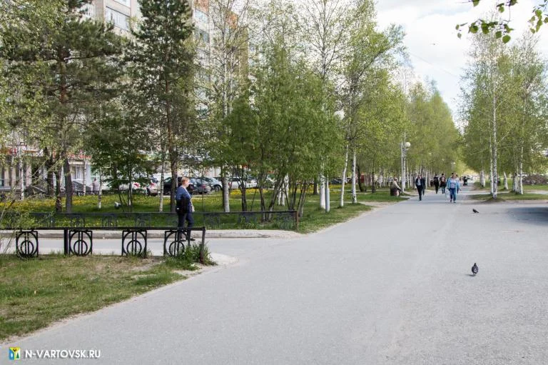 Из жизни города: Члены Совета при Президенте Российской Федерации посетят Нижневартовск