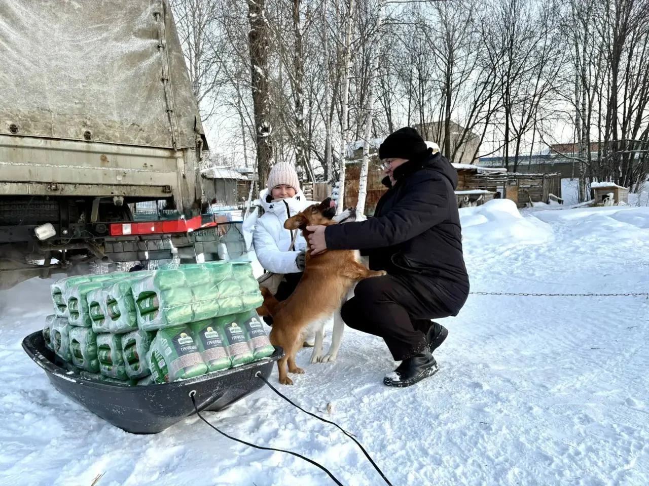 Из жизни города: В Югре продолжается зоозащитная акция «сНежный пес»