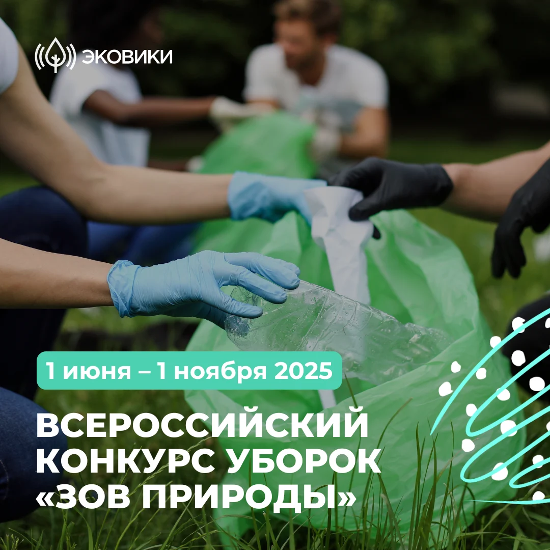 Новости экологии: Экологический конкурс «Зов природы»