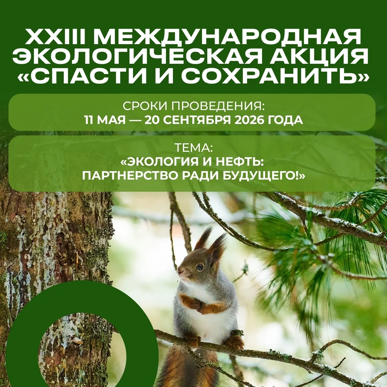 Новости экологии: Городской план мероприятий XXIII Международной экологической акции «Спасти и сохранить»
