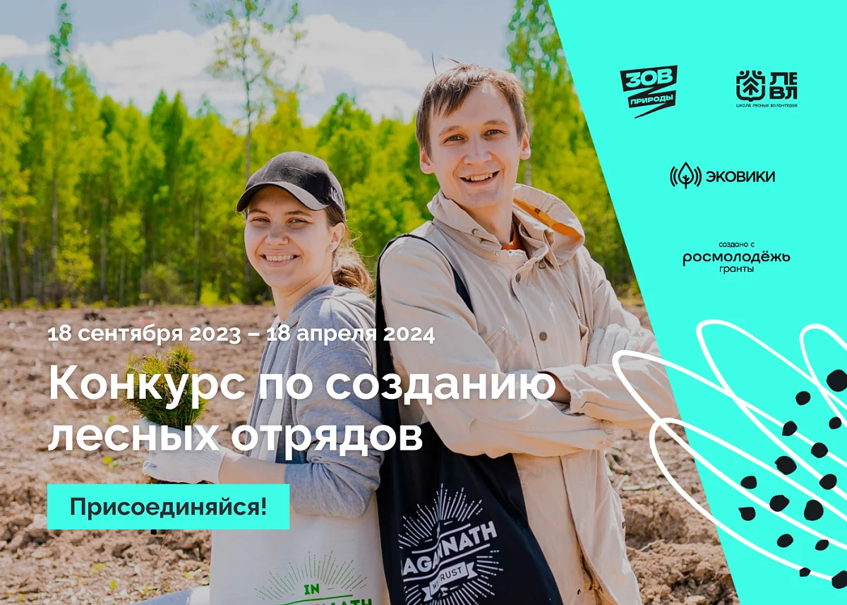 Новости экологии: Конкурс добрых дел для леса