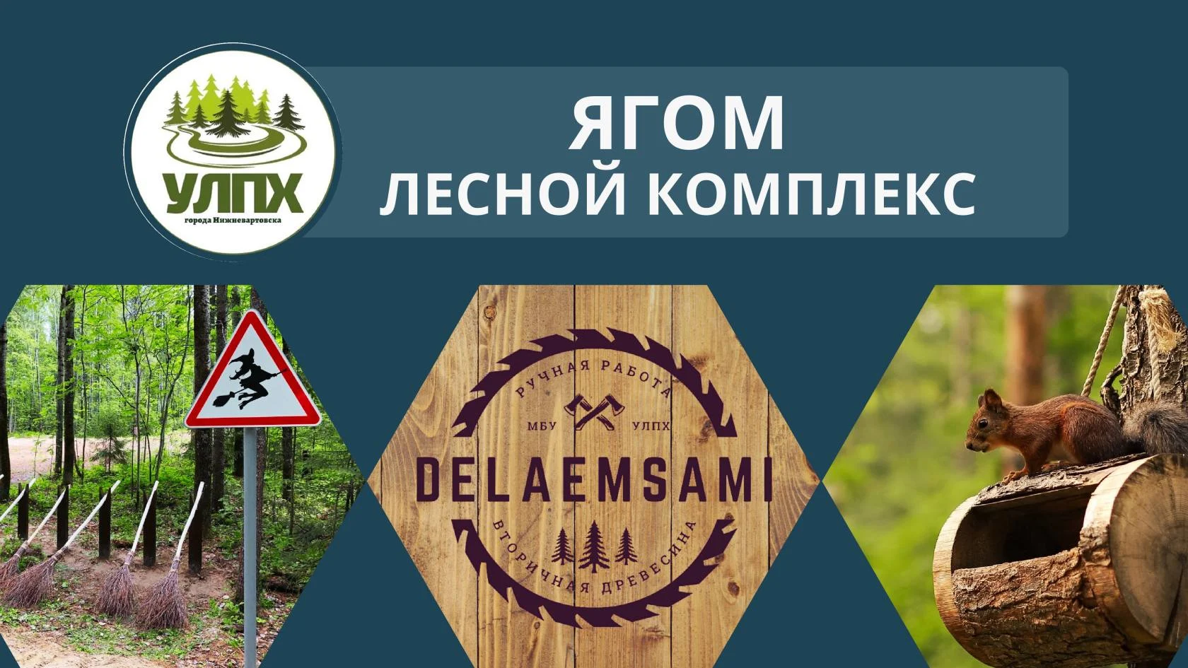 Новости экологии: Осень в «ЯГОМе» /ФОТО/
