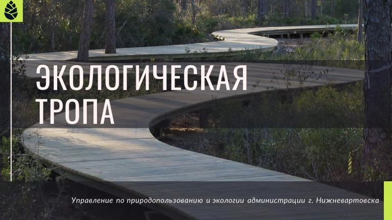 Новости экологии: У вартовчан появится новое место для отдыха: в городе создадут экотропу /ИНФОГРАФИКА/