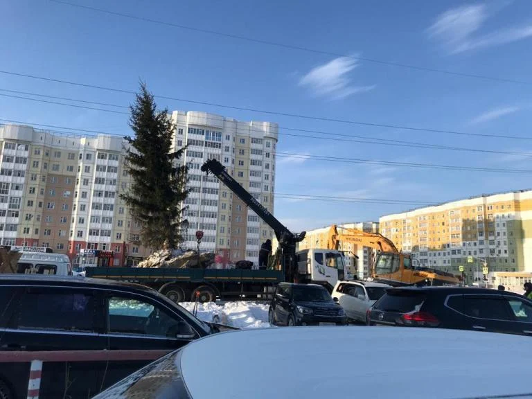 Новости экологии: Впервые в Нижневартовске зеленая красавица зимой получила новую прописку /ВИДЕО/