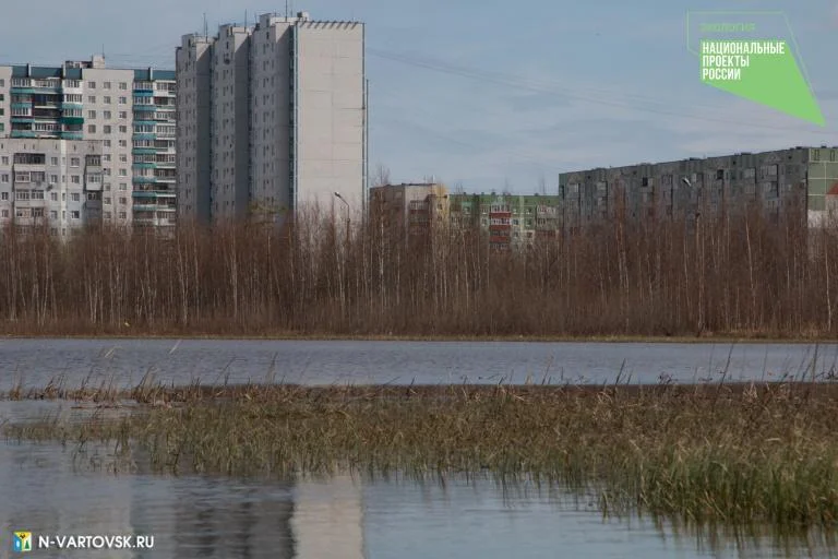Городской молодежный субботник для всех вартовчан