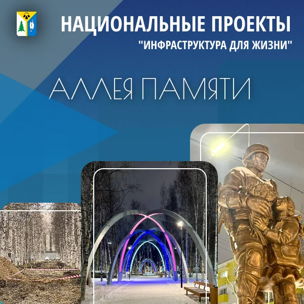 Проекты для жизни /ИНФОГРАФИКА/