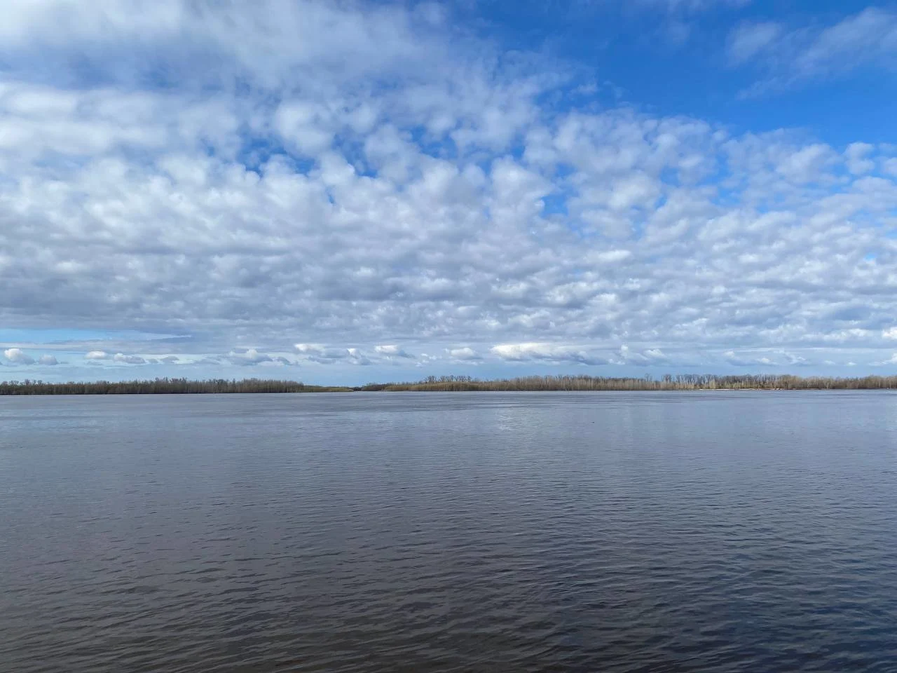 Уровень воды в Оби на 14 мая