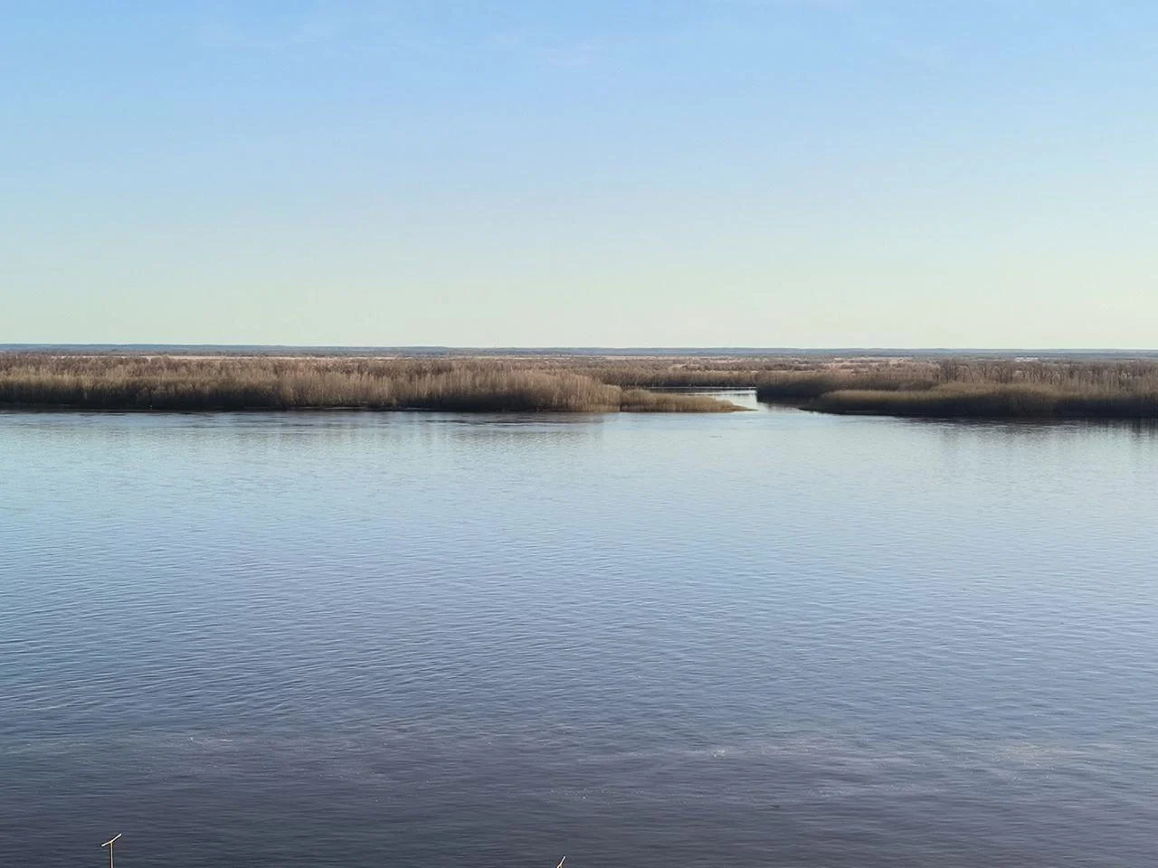 Половодье: Уровень воды в Оби на 25 мая