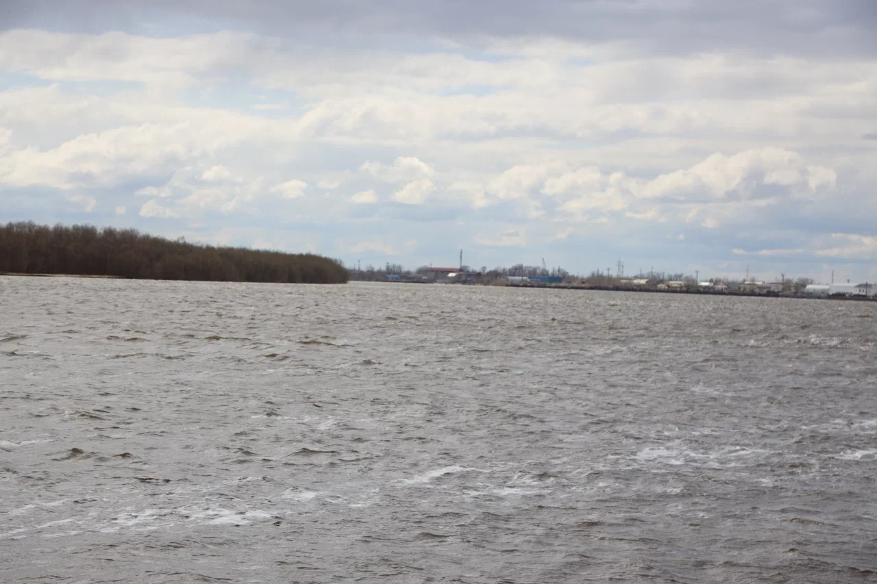 Половодье: Уровень воды в Оби на 26 мая