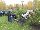 Нижневартовск присоединился ко Всероссийскому проекту «Сад памяти» Нижневартовск присоединился ко Всероссийскому проекту «Сад памяти»