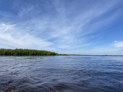 Уровень воды в Оби на 12 июля