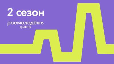Грантовая поддержка молодежных инициатив Грантовая поддержка молодежных инициатив