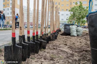 Сентябрь – активное время для озеленения Нижневартовска 