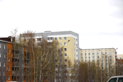 О необходимости санитарной обрезки и уборки насаждений, находящихся в ненадлежащем состоянии 