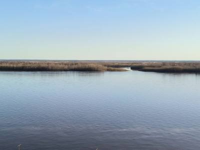 Уровень воды в Оби на 23 мая