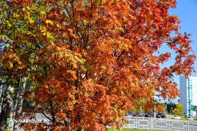 ГЛАВНАЯ ТЕМА 2024 ГОДА В ЮГРЕ