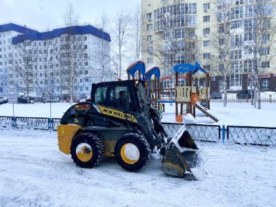 Уборка снега на дорогах и во дворах на контроле у общественников 