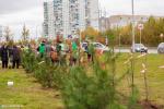 В Нижневартовске завершается осенняя кампания по высадке деревьев 