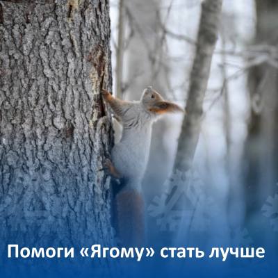 Поделитесь мнением о «Ягоме»