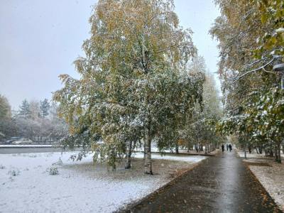 Конкурс по противодействию идеологии терроризма 