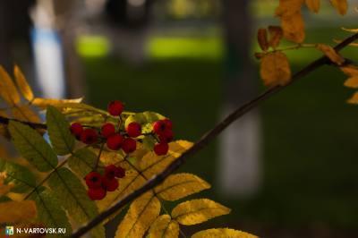 О строительстве парковки возле торгового центра «Clover House»