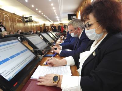 Депутаты Думы города одобрили дополнительные меры социальной поддержки многодетных семей
