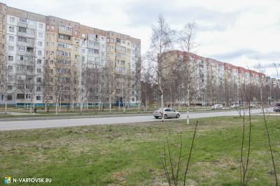 О правилах выгула питомцев О правилах выгула питомцев