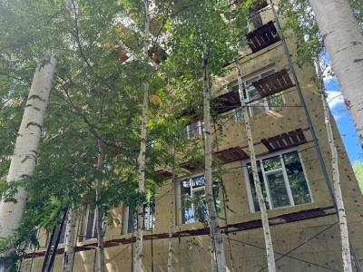 Новый учебный год: ремонт в образовательных организациях /ВИДЕО/