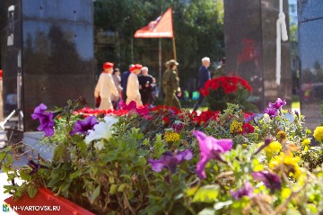 Фотография 12