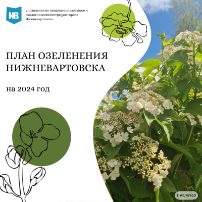 План озеленения территории города Нижневартовска на 2024 год