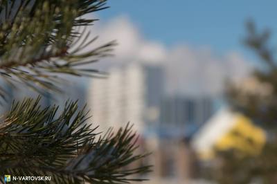 О МЕРАХ СОЦПОДДЕРЖКИ НА УЛУЧШЕНИЕ ЖИЛИЩНЫХ УСЛОВИЙ ДЛЯ СЕМЕЙ С ДЕТЬМИ О МЕРАХ СОЦПОДДЕРЖКИ НА УЛУЧШЕНИЕ ЖИЛИЩНЫХ УСЛОВИЙ ДЛЯ СЕМЕЙ С ДЕТЬМИ