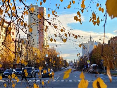 Адресная помощь мобилизованным и их семьям /ФОТО/ Адресная помощь мобилизованным и их семьям /ФОТО/