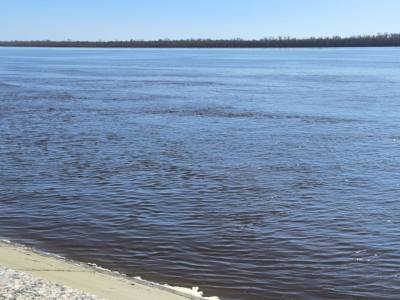 Уровень воды в Оби на 1 июня