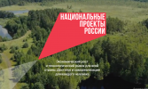 Онлайн-опрос «Национальные проекты»